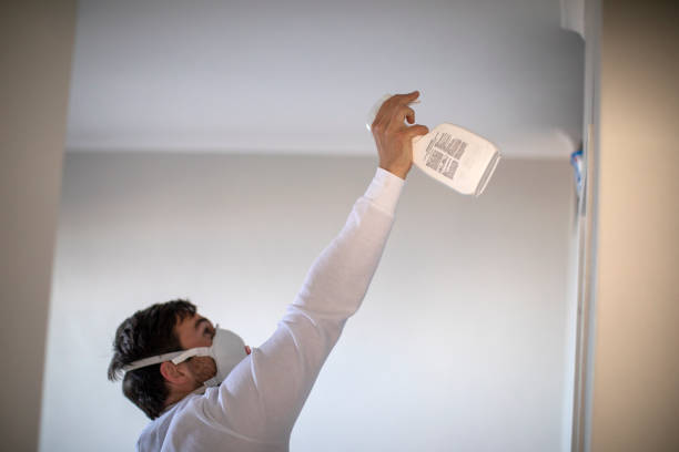 Reliable Pecan Grove, TX Mold Remediation Solutions