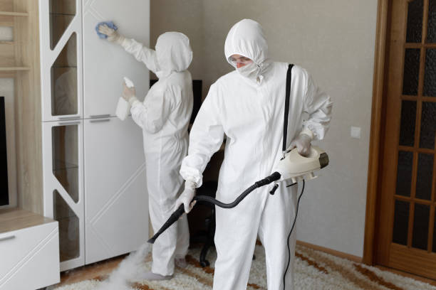 Best Post-Flood Mold Remediation in Pecan Grove, TX