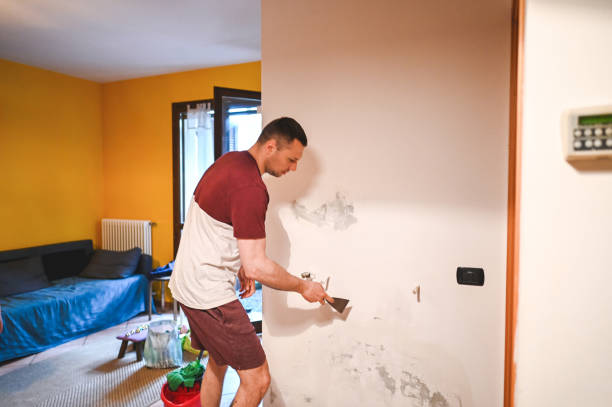 Best Mold Remediation for Specific Building Types in Pecan Grove, TX